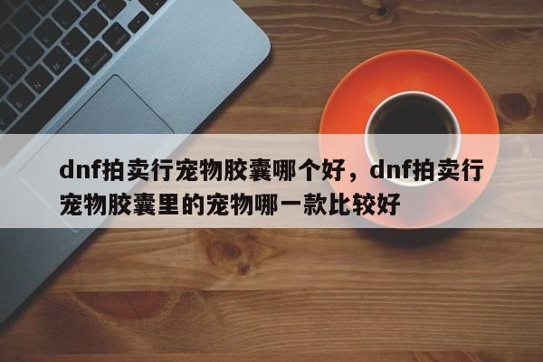dnf拍卖行宠物胶囊哪个好，dnf拍卖行宠物胶囊里的宠物哪一款比较好
