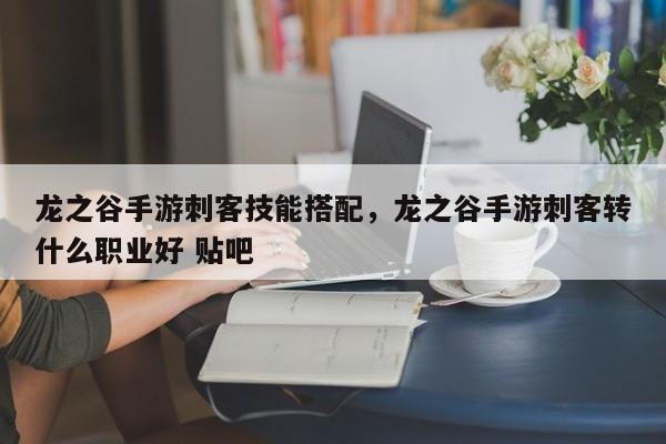 龙之谷手游刺客技能搭配，龙之谷手游刺客转什么职业好 贴吧
