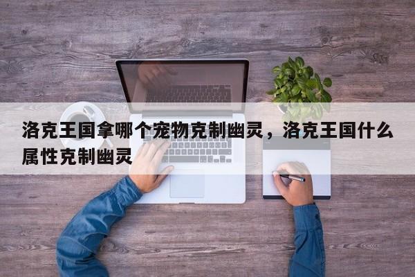 洛克王国拿哪个宠物克制幽灵，洛克王国什么属性克制幽灵