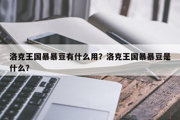 洛克王国暴暴豆有什么用？洛克王国暴暴豆是什么？