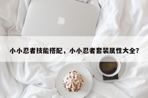 小小忍者技能搭配，小小忍者套装属性大全？