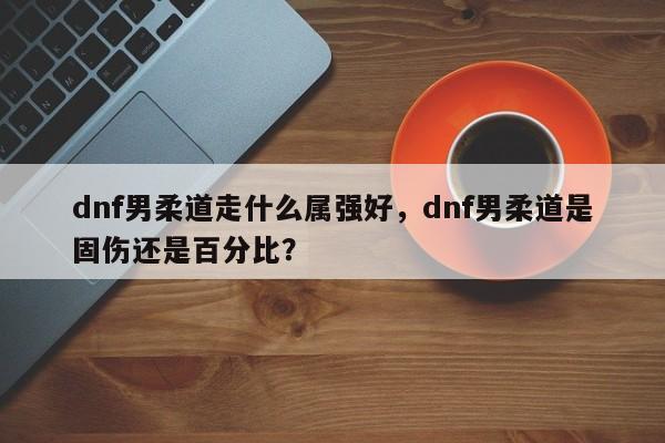 dnf男柔道走什么属强好，dnf男柔道是固伤还是百分比？