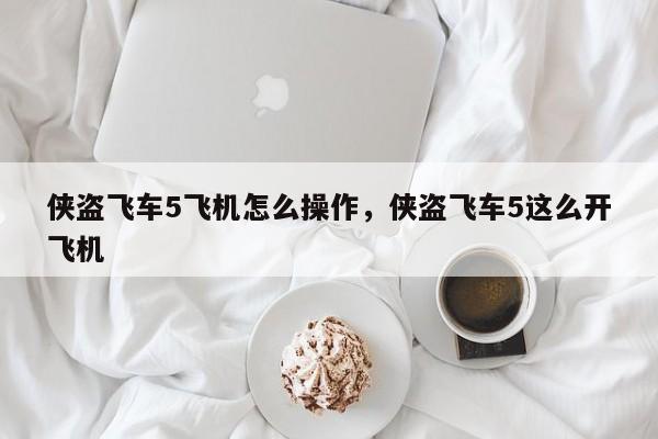 侠盗飞车5飞机怎么操作，侠盗飞车5这么开飞机
