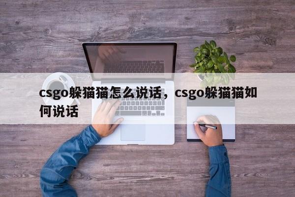 csgo躲猫猫怎么说话，csgo躲猫猫如何说话