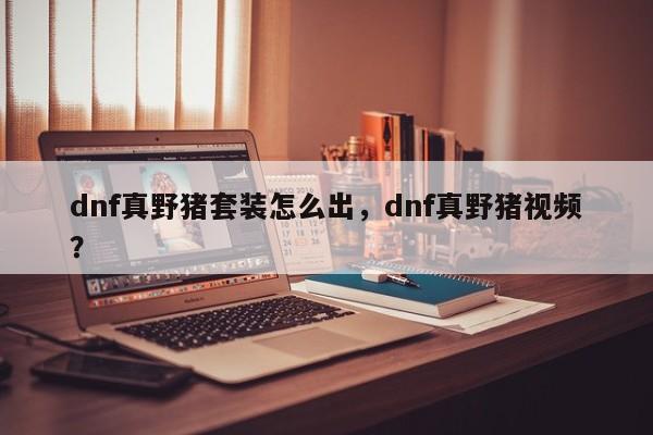 dnf真野猪套装怎么出，dnf真野猪视频？