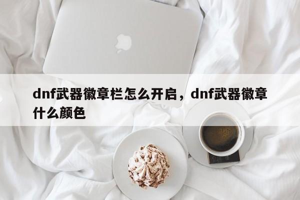 dnf武器徽章栏怎么开启，dnf武器徽章什么颜色