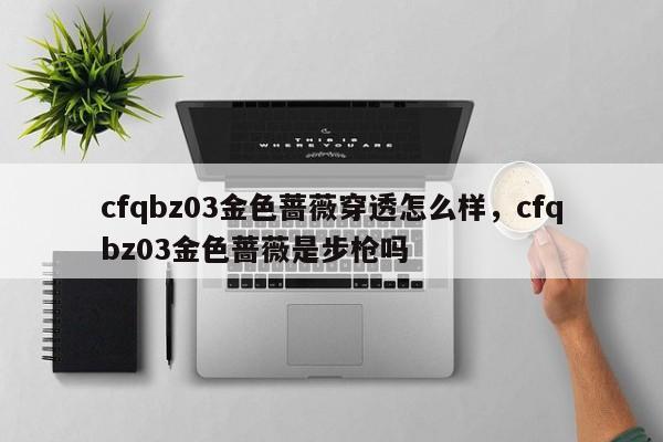 cfqbz03金色蔷薇穿透怎么样，cfqbz03金色蔷薇是步枪吗
