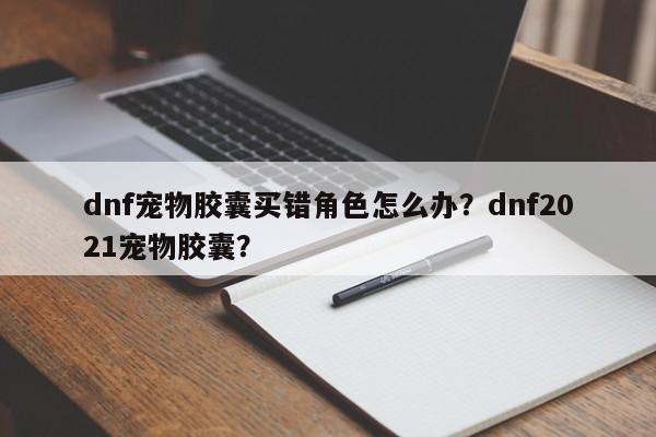 dnf宠物胶囊买错角色怎么办？dnf2021宠物胶囊？