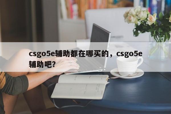csgo5e辅助都在哪买的，csgo5e辅助吧？