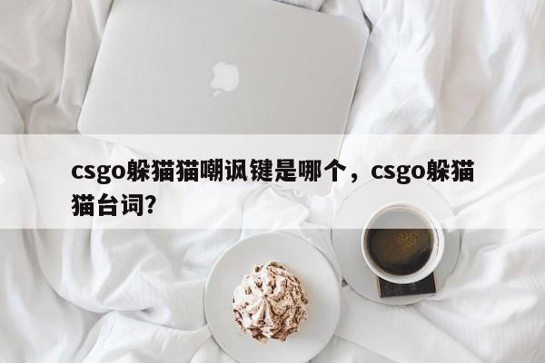 csgo躲猫猫嘲讽键是哪个，csgo躲猫猫台词？