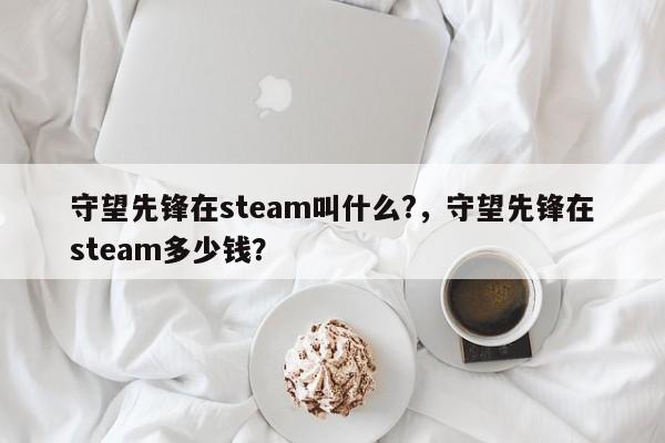 守望先锋在steam叫什么?，守望先锋在steam多少钱？