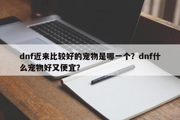 dnf近来比较好的宠物是哪一个？dnf什么宠物好又便宜？