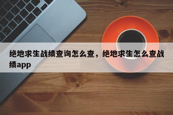 绝地求生战绩查询怎么查，绝地求生怎么查战绩app