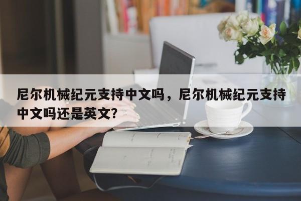 尼尔机械纪元支持中文吗，尼尔机械纪元支持中文吗还是英文？