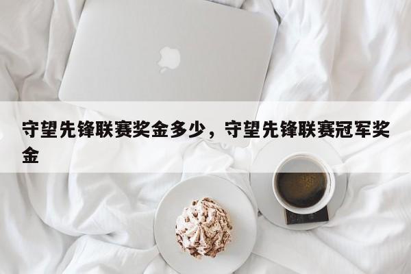 守望先锋联赛奖金多少，守望先锋联赛冠军奖金
