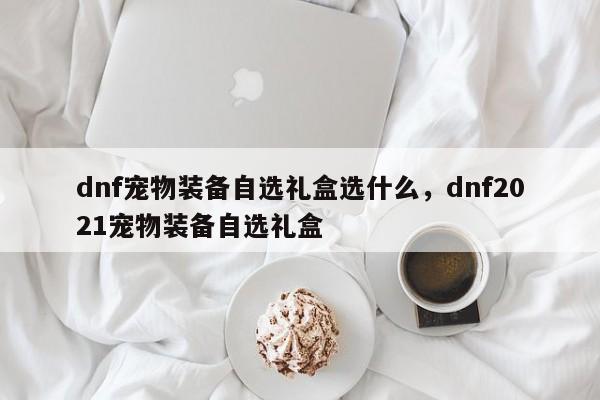 dnf宠物装备自选礼盒选什么，dnf2021宠物装备自选礼盒