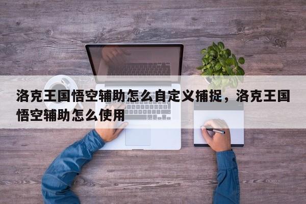 洛克王国悟空辅助怎么自定义捕捉，洛克王国悟空辅助怎么使用