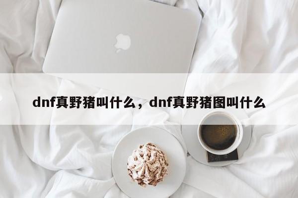 dnf真野猪叫什么，dnf真野猪图叫什么