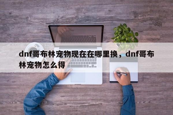 dnf哥布林宠物现在在哪里换，dnf哥布林宠物怎么得