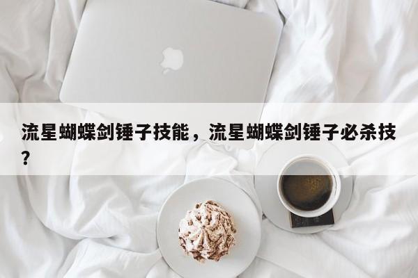 流星蝴蝶剑锤子技能，流星蝴蝶剑锤子必杀技？