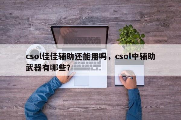 csol佳佳辅助还能用吗，csol中辅助武器有哪些？