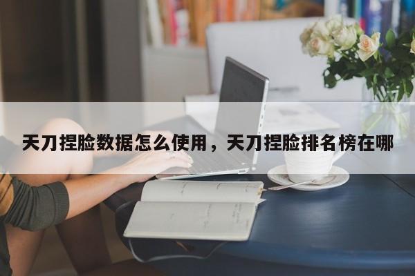 天刀捏脸数据怎么使用，天刀捏脸排名榜在哪