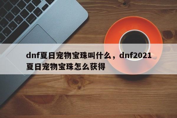 dnf夏日宠物宝珠叫什么，dnf2021夏日宠物宝珠怎么获得