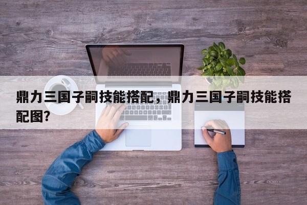 鼎力三国子嗣技能搭配，鼎力三国子嗣技能搭配图？