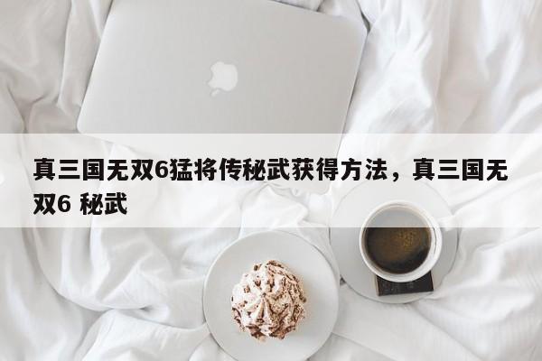 真三国无双6猛将传秘武获得方法,真三国无双6 秘武