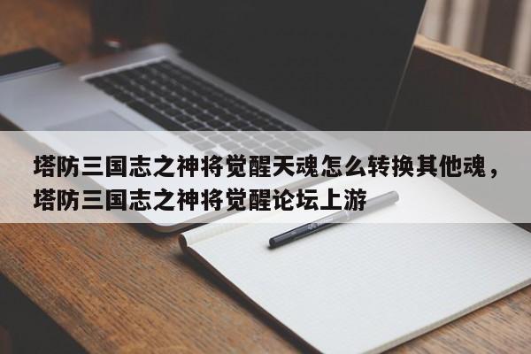 塔防三国志之神将觉醒天魂怎么转换其他魂，塔防三国志之神将觉醒论坛上游