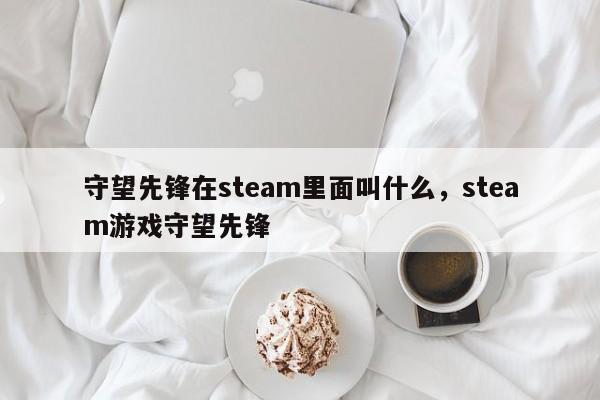 守望先锋在steam里面叫什么，steam游戏守望先锋