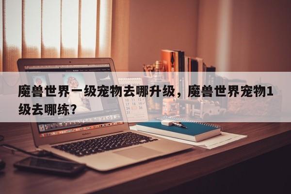 魔兽世界一级宠物去哪升级，魔兽世界宠物1级去哪练？
