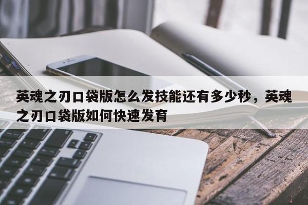 英魂之刃口袋版怎么发技能还有多少秒，英魂之刃口袋版如何快速发育