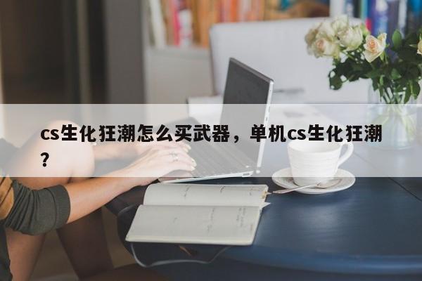 cs生化狂潮怎么买武器，单机cs生化狂潮？