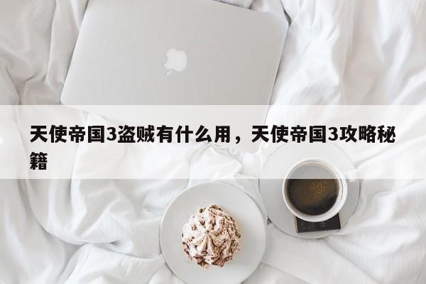 天使帝国3盗贼有什么用，天使帝国3攻略秘籍