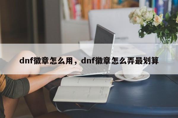dnf徽章怎么用，dnf徽章怎么弄最划算