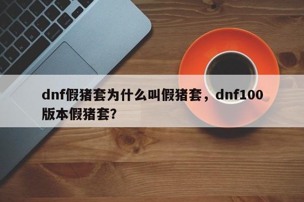 dnf假猪套为什么叫假猪套，dnf100版本假猪套？