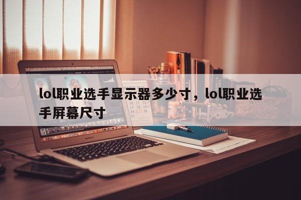 lol职业选手显示器多少寸，lol职业选手屏幕尺寸